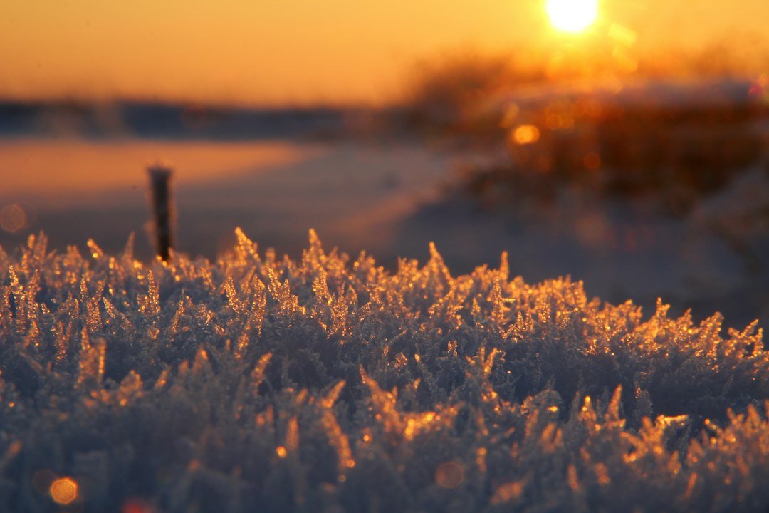 Apricity Meaning: The Beautiful Word for Winter Sun Warmth