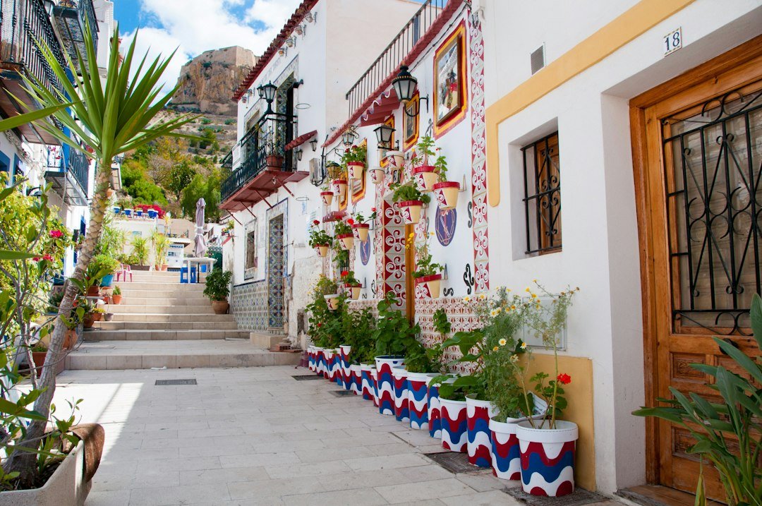Spanish words - A narrow street lined with potted plants next to a building